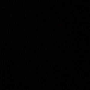 Meet your Posher, Tamara